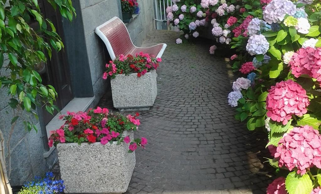 Bed and Breakfast Casa Delle Ortensie Alpignano Екстер'єр фото